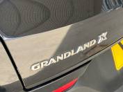 VAUXHALL GRANDLAND X 2020 (20)
