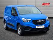 VAUXHALL COMBO CARGO 2024 (24)