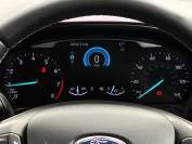 FORD FIESTA-VIGNALE 2019 (69)