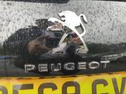 PEUGEOT 2008 2019 (69)