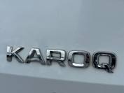 SKODA KAROQ 2019 (19)