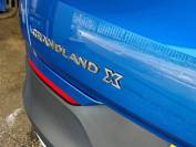 VAUXHALL GRANDLAND X 2020 (69)