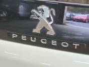 PEUGEOT 3008 2019 (69)