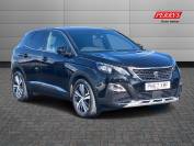 PEUGEOT 3008 2017 (67)