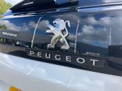 PEUGEOT 3008 2020 (69)