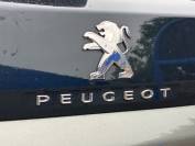 PEUGEOT 3008 2019 (19)