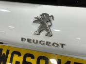 PEUGEOT 2008 2019 (69)