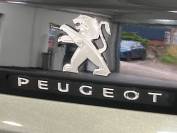 PEUGEOT 3008 2019 (19)