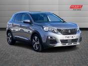 PEUGEOT 3008 2018 (67)