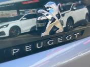 PEUGEOT 3008 2018 (67)