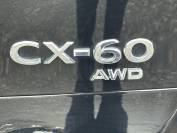 MAZDA CX-60 2024 (24)