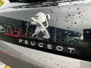 PEUGEOT 3008 2022 (22)