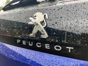 PEUGEOT 3008 2020 (70)