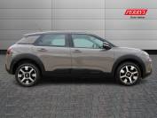 CITROEN C4 CACTUS 2019 (69)