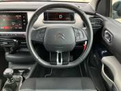 CITROEN C4 CACTUS 2019 (69)