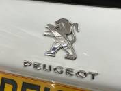 PEUGEOT 2008 2019 (19)