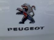 PEUGEOT EXPERT 2020 (70)