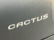 CITROEN C4 CACTUS 2017 (17)