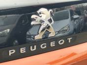 PEUGEOT 3008 2017 (67)