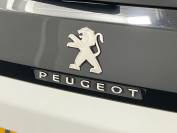 PEUGEOT 3008 2019 (69)