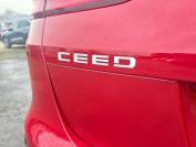 KIA CEED 2024 (24)