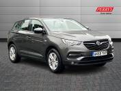 VAUXHALL GRANDLAND X 2020 (69)