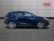 LEXUS NX 2017 (67)