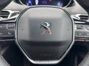 PEUGEOT 3008 2019 (19)