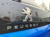 PEUGEOT 3008 2021 (71)