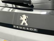 PEUGEOT 3008 2019 (19)