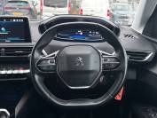 PEUGEOT 3008 2019 (69)