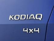 SKODA KODIAQ 2019 (68)