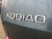 SKODA KODIAQ 2020 (20)