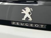 PEUGEOT 3008 2021 (71)