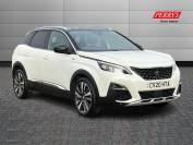 PEUGEOT 3008 2020 (20)