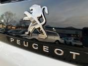 PEUGEOT 3008 2020 (70)