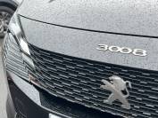 PEUGEOT 3008 2021 (71)