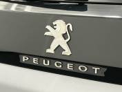 PEUGEOT 3008 2021 (71)