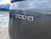 PEUGEOT 3008 2021 (71)