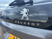 PEUGEOT 3008 2021 (71)