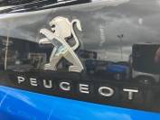 PEUGEOT 3008 2021 (71)