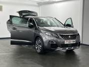 PEUGEOT 3008 2019 (68)