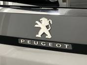 PEUGEOT 3008 2019 (68)