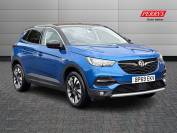 VAUXHALL GRANDLAND X 2019 (69)