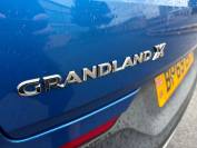 VAUXHALL GRANDLAND X 2019 (69)